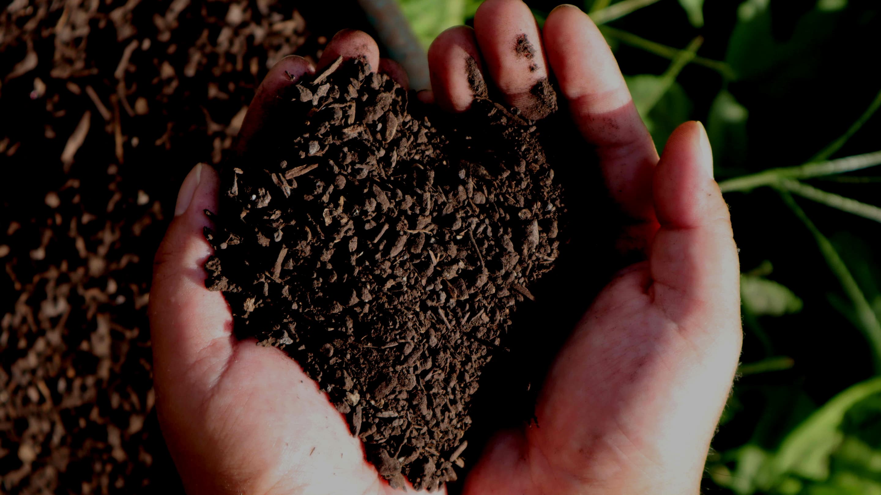 キービジュアル