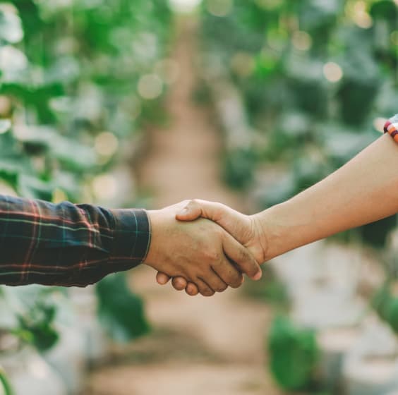 お問い合わせ画像